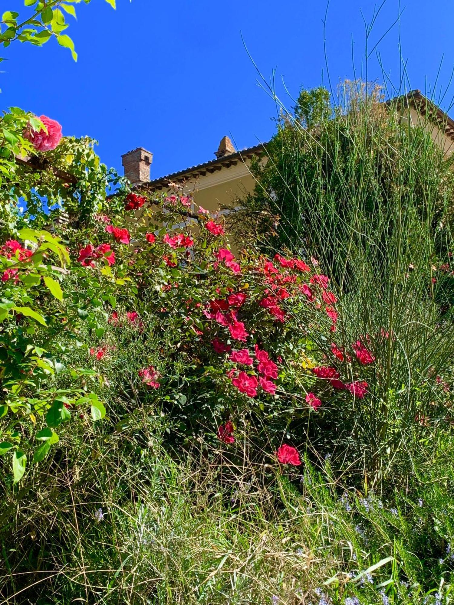 Il Broglino Villa Todi Exterior photo